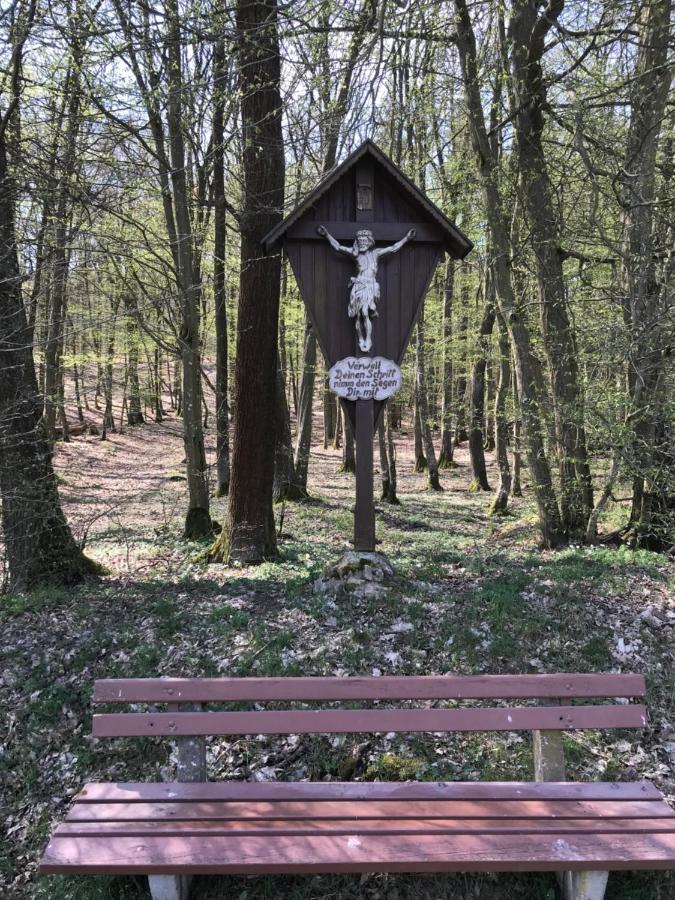 Pension-Ferienwohnung Liesbachtal Direkt Am Waldrand Bayerische Rhoen Schonau an der Brend ภายนอก รูปภาพ