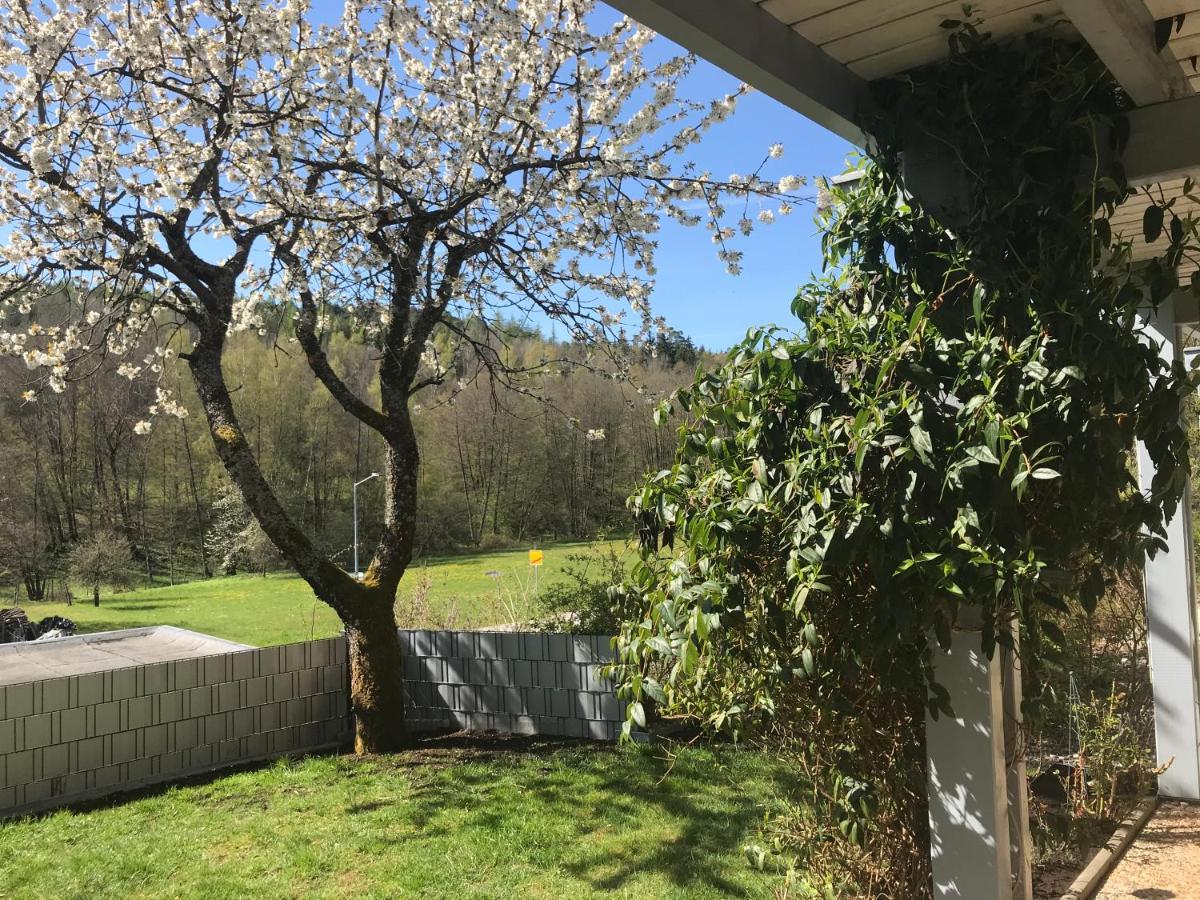 Pension-Ferienwohnung Liesbachtal Direkt Am Waldrand Bayerische Rhoen Schonau an der Brend ภายนอก รูปภาพ