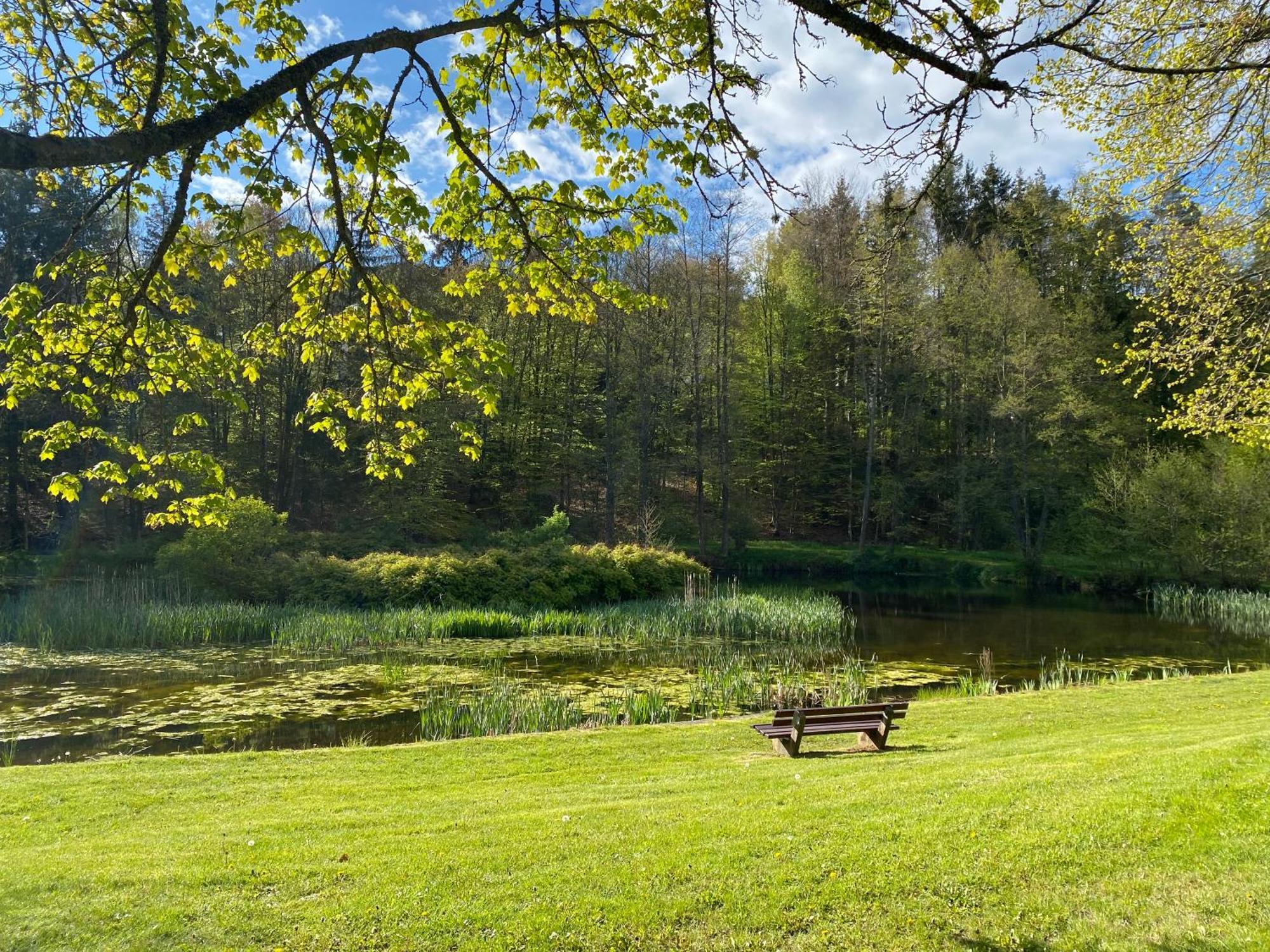 Pension-Ferienwohnung Liesbachtal Direkt Am Waldrand Bayerische Rhoen Schonau an der Brend ภายนอก รูปภาพ