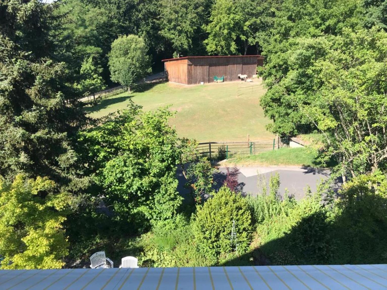Pension-Ferienwohnung Liesbachtal Direkt Am Waldrand Bayerische Rhoen Schonau an der Brend ห้อง รูปภาพ