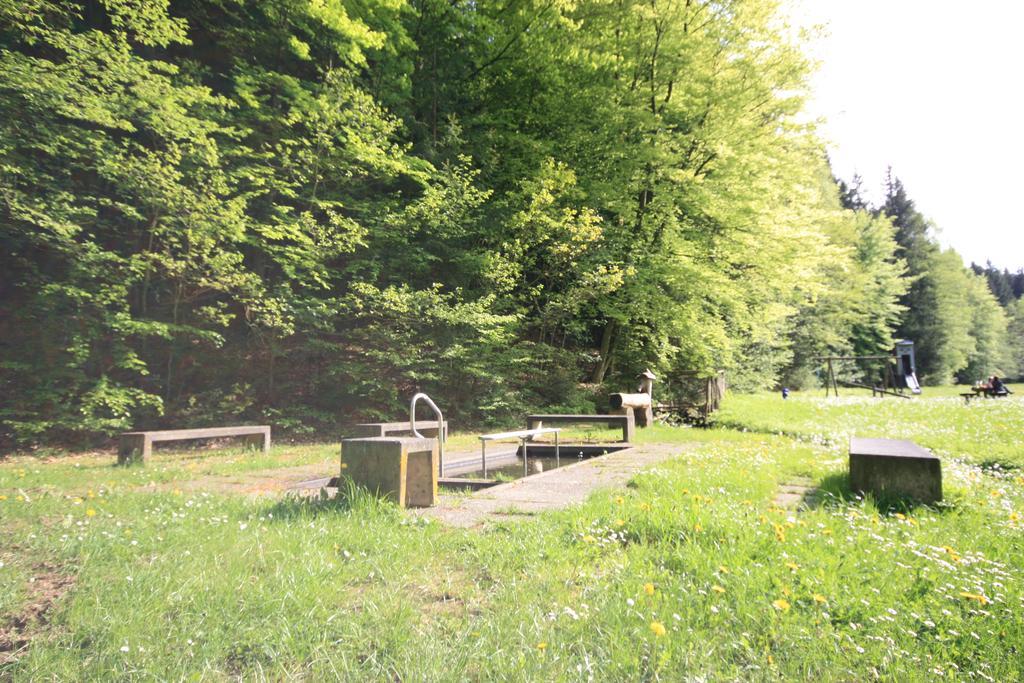 Pension-Ferienwohnung Liesbachtal Direkt Am Waldrand Bayerische Rhoen Schonau an der Brend ภายนอก รูปภาพ