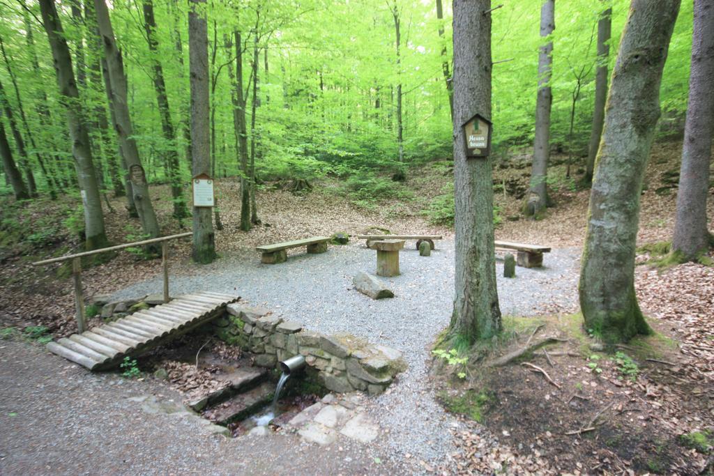 Pension-Ferienwohnung Liesbachtal Direkt Am Waldrand Bayerische Rhoen Schonau an der Brend ภายนอก รูปภาพ